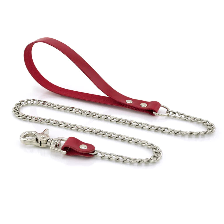 Laisse de Cuir - XBliss