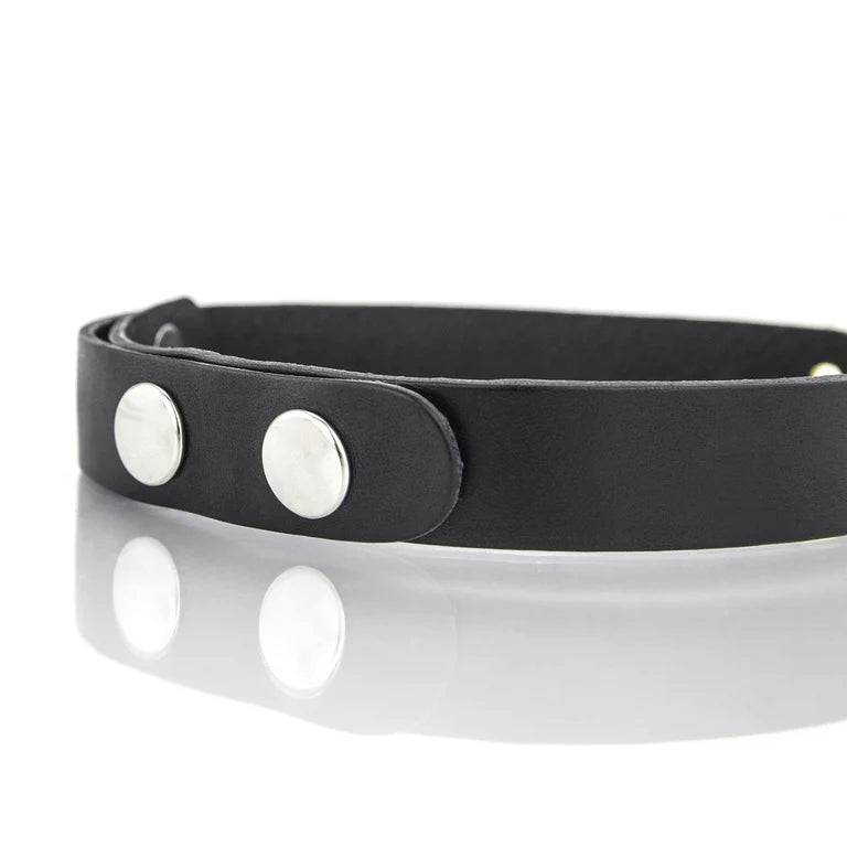 Standard Slave Collar - XBliss