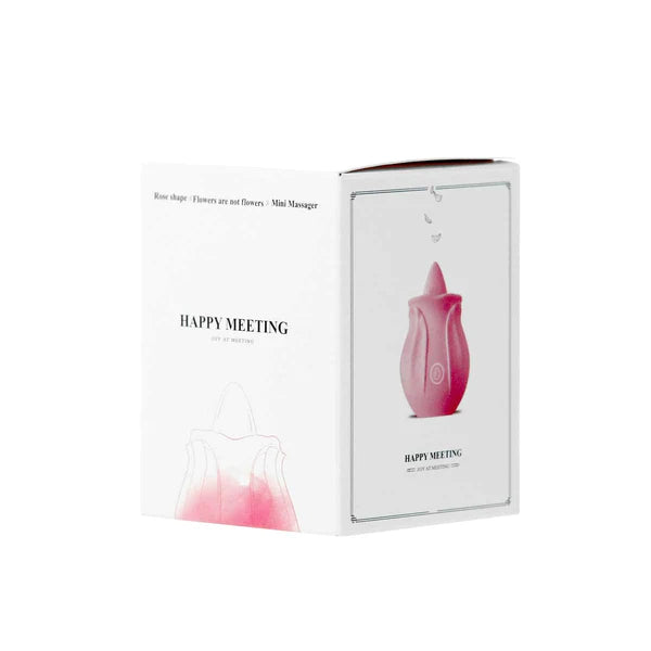 Happy Meeting - Rose Flickering