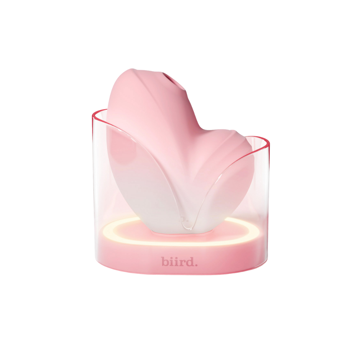 Namii 2 – Stimulateur clitoridien à succion et vibrations - Biird