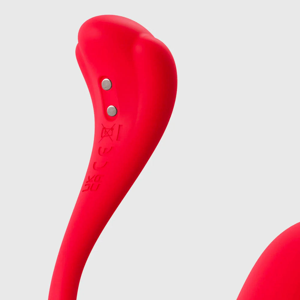 Phoenix Neo 2 - Svakom