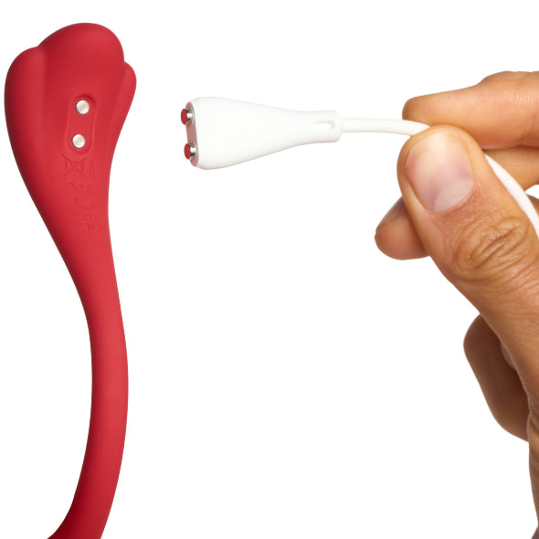 Phoenix Neo 2 - Svakom