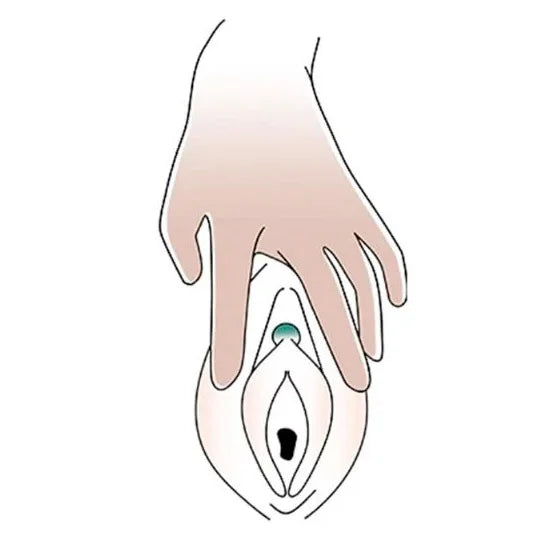 Premium 2 - Womanizer