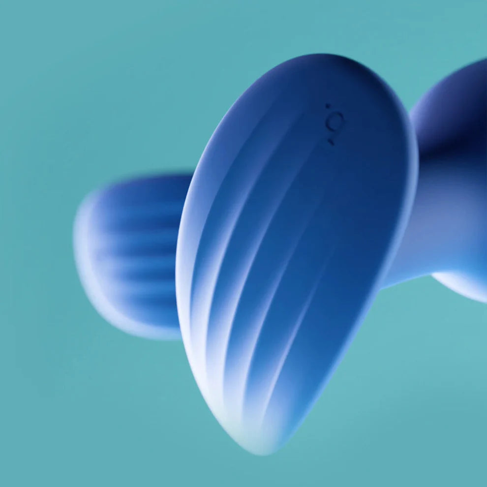 Regii set of 2 anal plugs - Bird