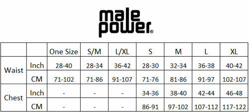 Mini boxer - Male Power