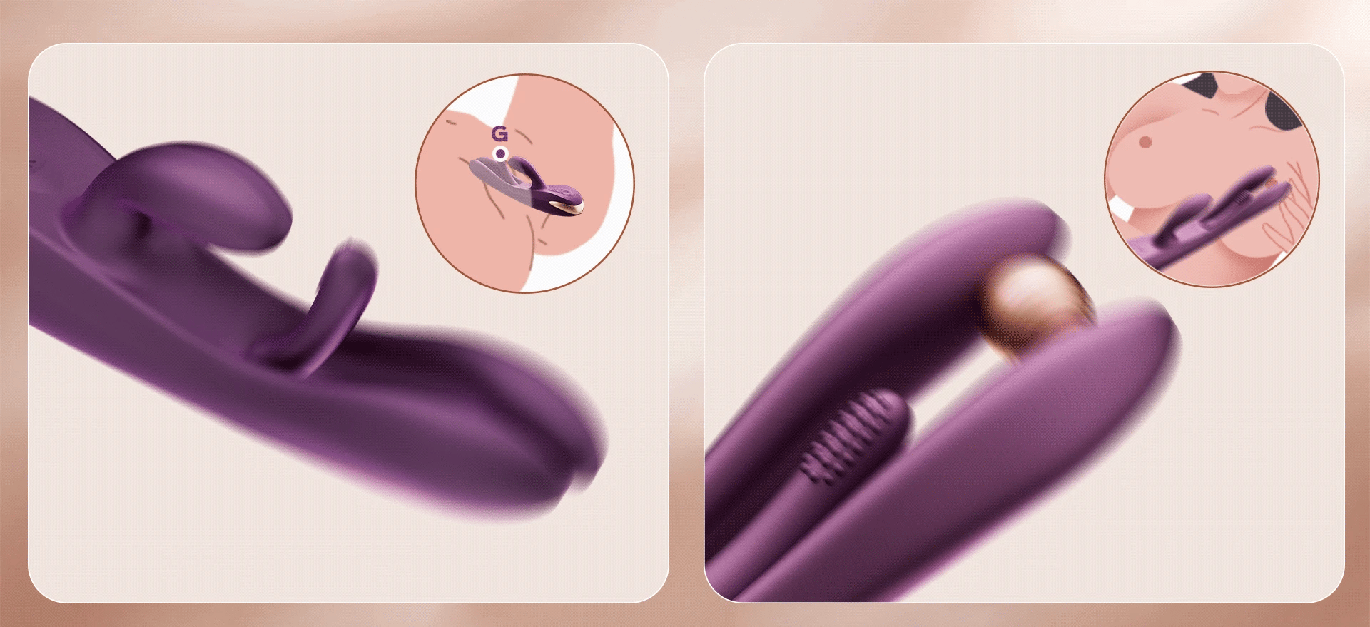 Terri Charmeur lapin - Honey Play Box